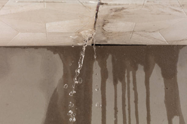 Professional Burst Pipe Cleanup technician working in Carsonville, MI